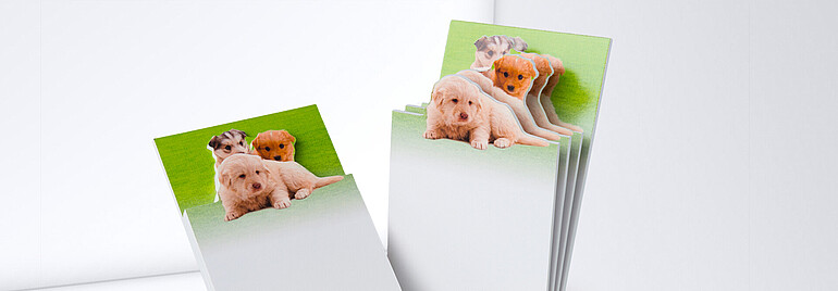3D-Pad: Hund