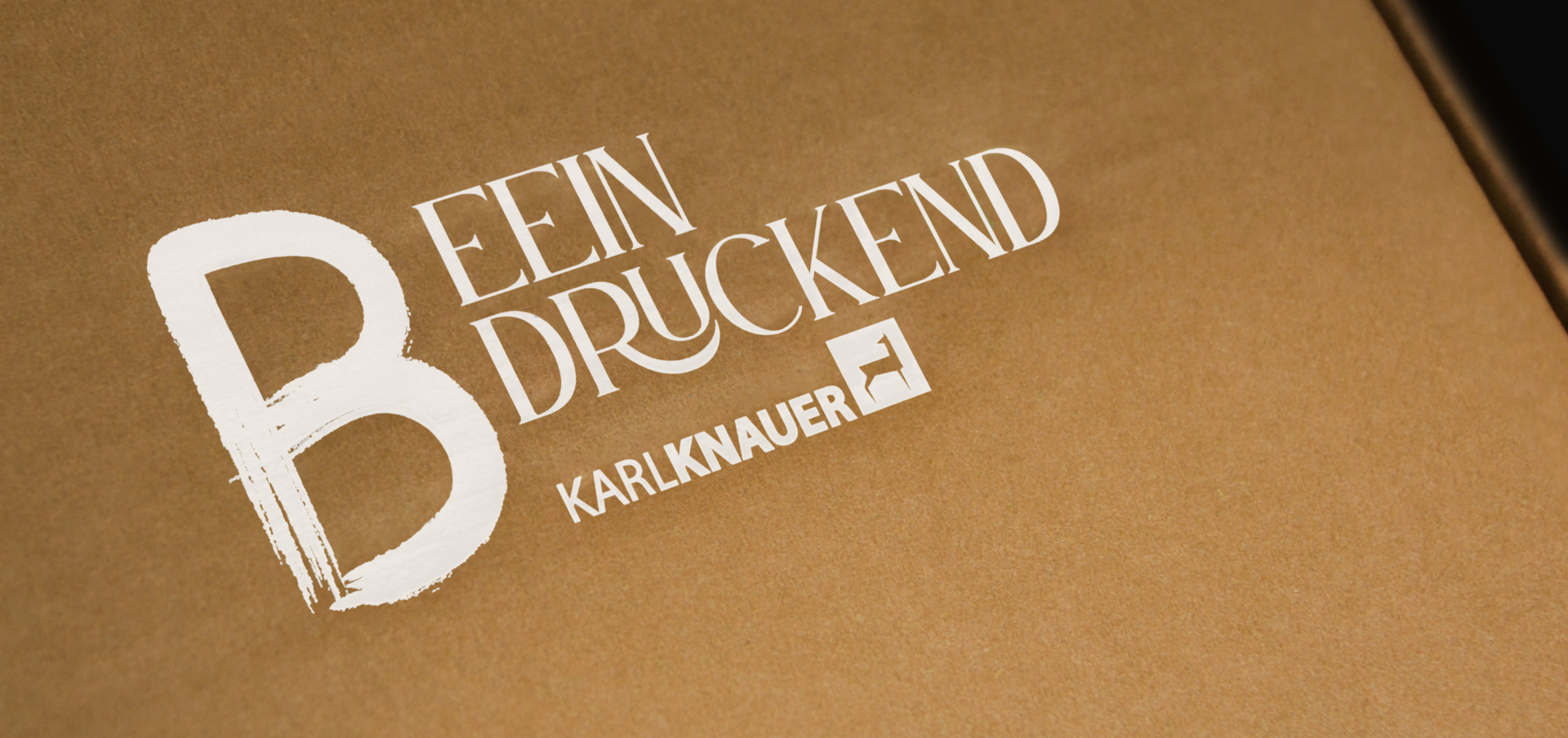 Heißfolienprägung Geschenkverpackungen Prägung in Weiß